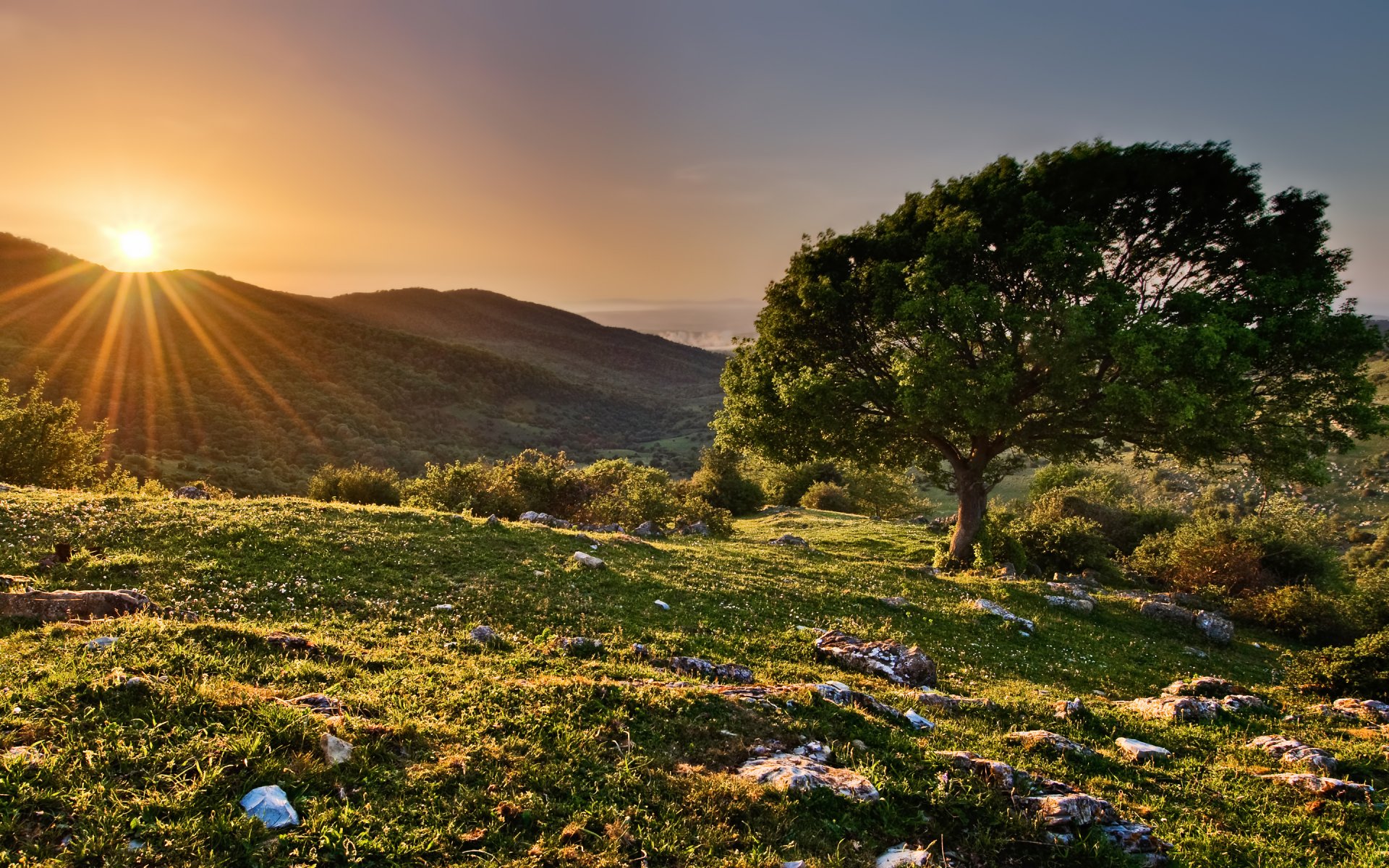 collines arbre coucher de soleil soleil rayons printemps réserve naturelle italie