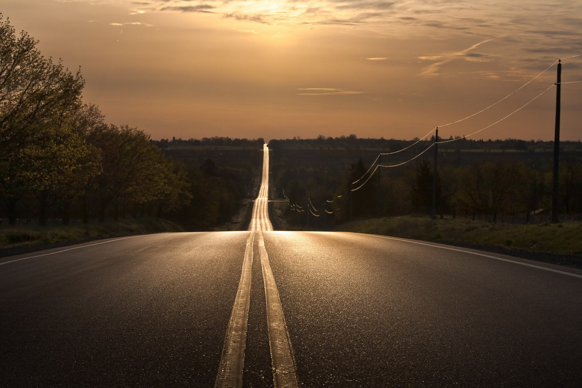 night road landscape