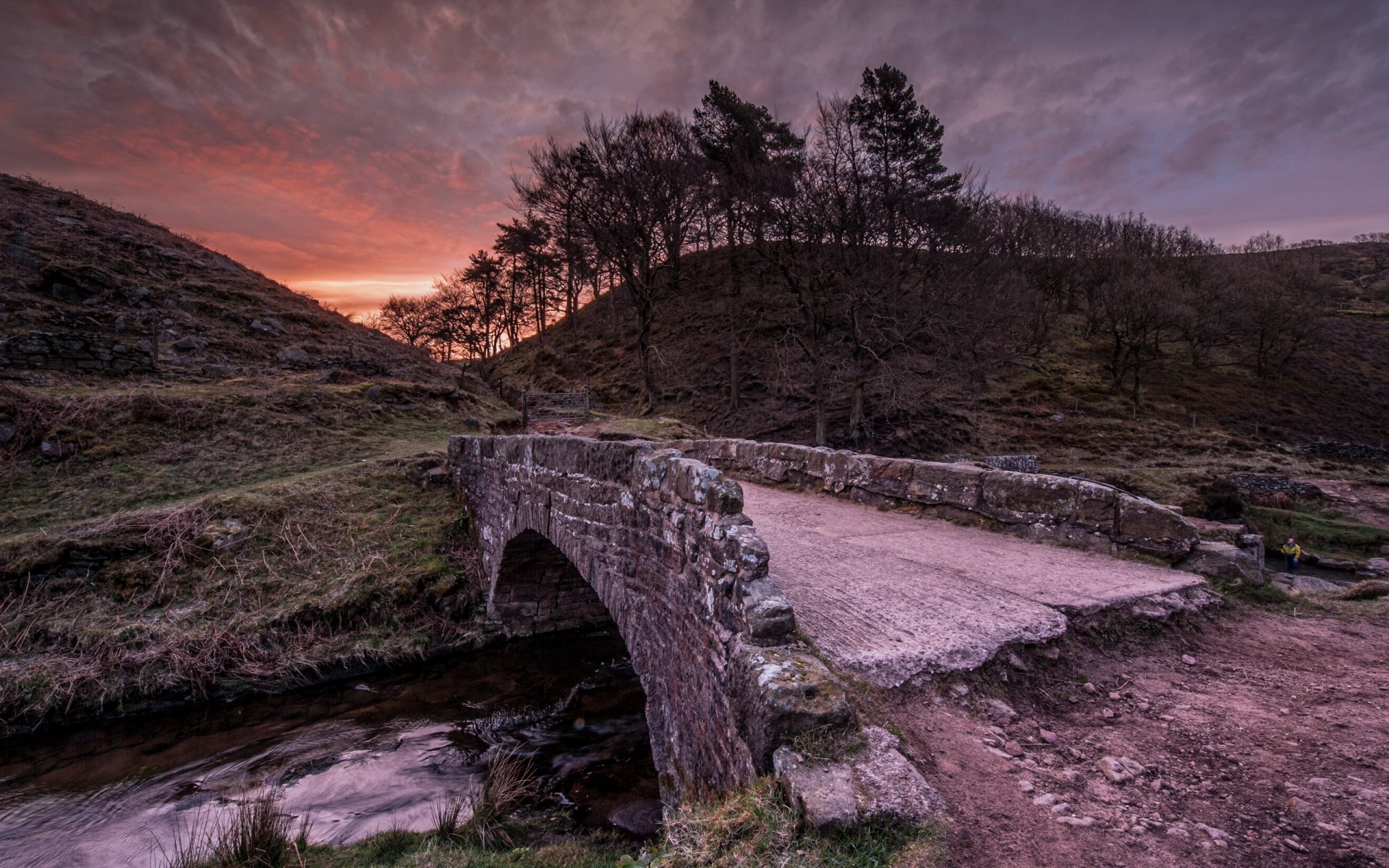 bridge river night landscape