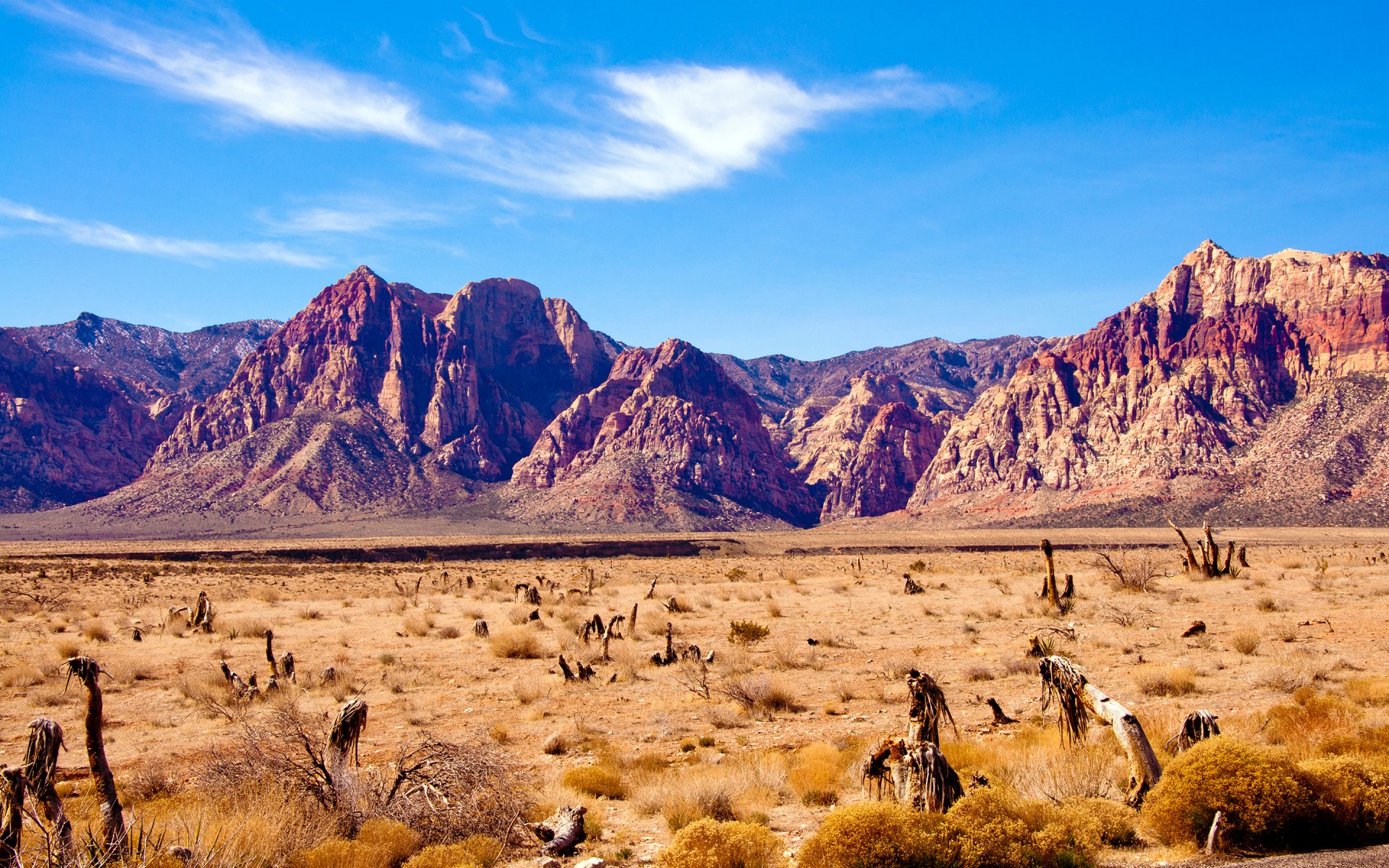 nevada wüste felsen berge red rock canyon