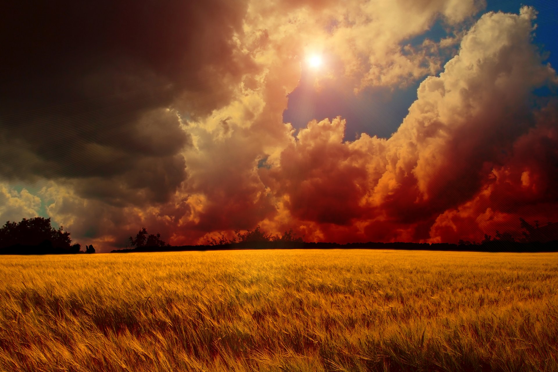 unset sky clouds sun tree the field wheat