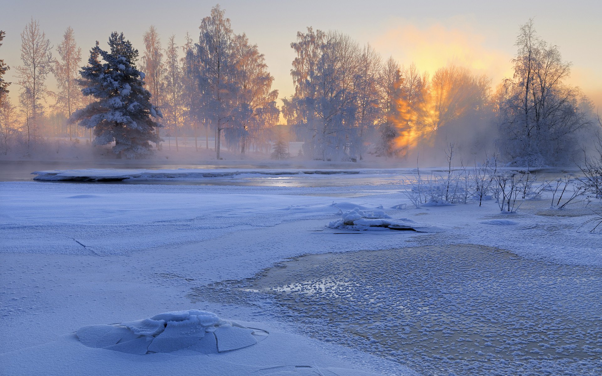 voxnan river hälsingland sweden winter river tree snow nature sunrise morning