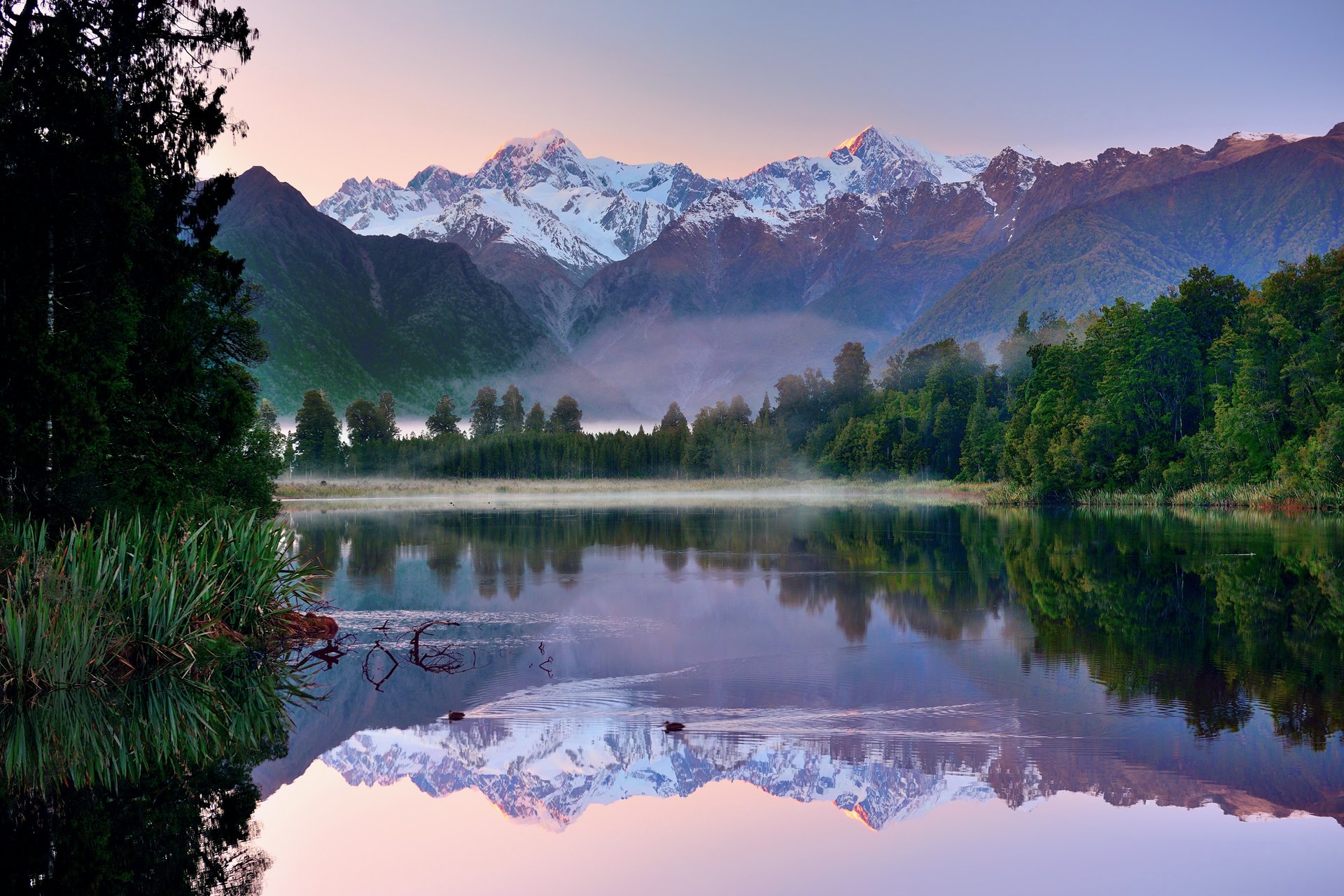 nueva zelanda montañas cielo lago bosque reflejos patos