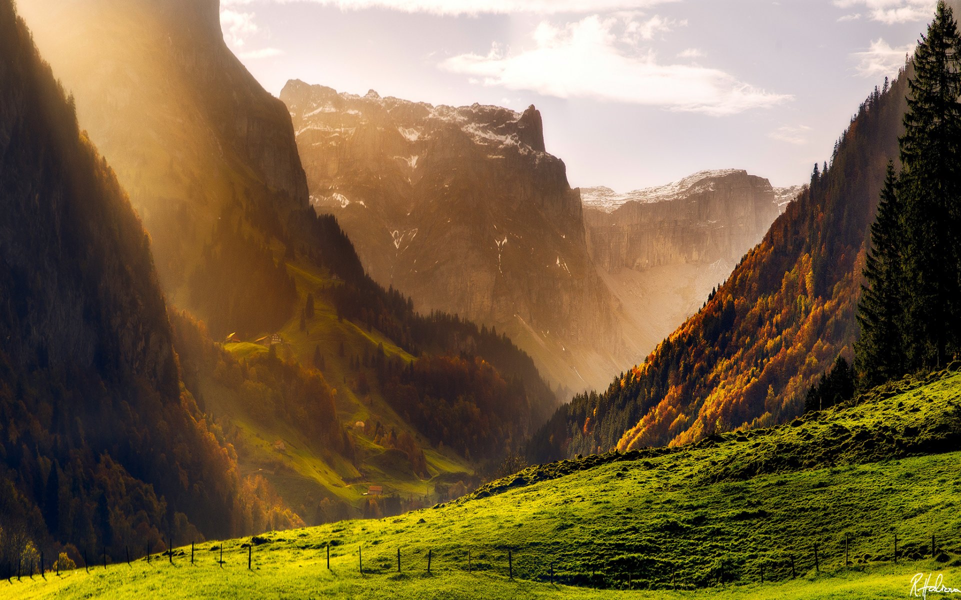 mountain alps switzerland autumn forest