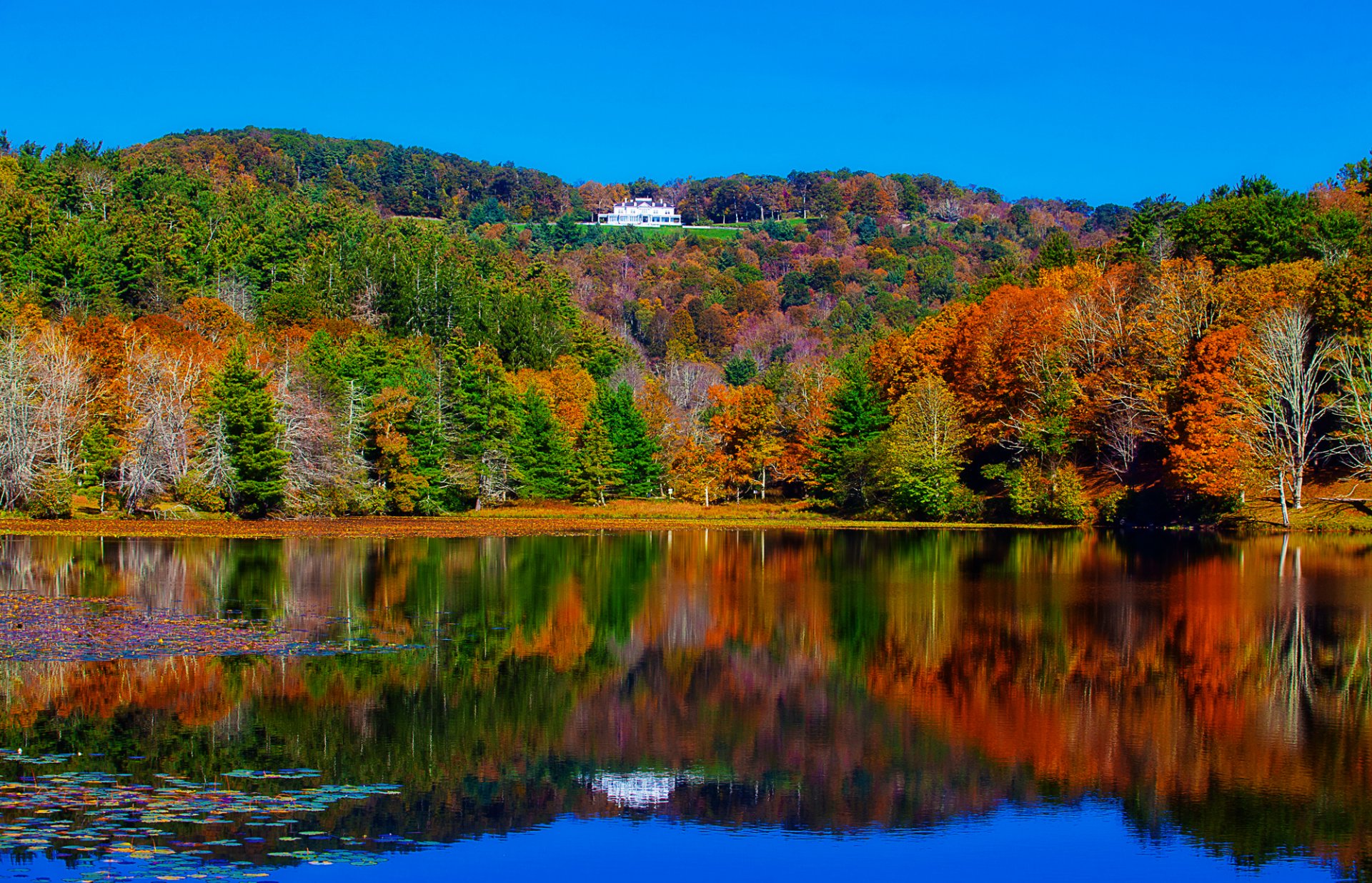 paysage rivière lac forêt arbres maison manoir automne réflexion