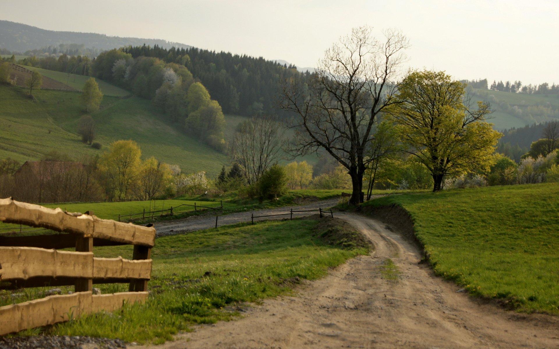 road fence landscape