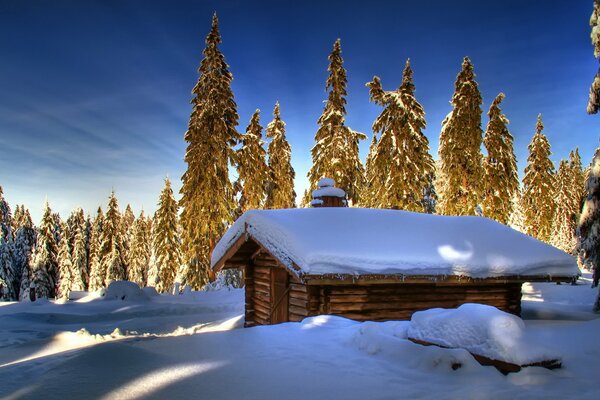 Hütte mit giebeligem, schneebedeckten Dach