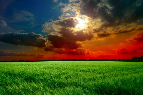 Paisaje contrastante. Cielo rojo con nubes y campo verde