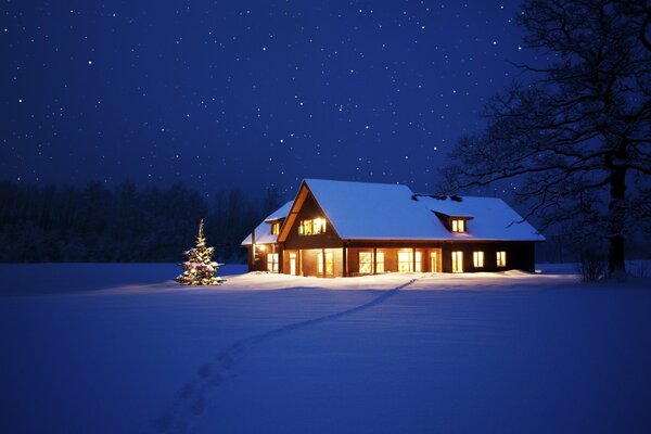 A holiday house standing near snow-covered trees on New Year s Eve