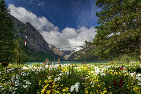 Lake Louise w Parku Narodowym Banff w Kanadzie