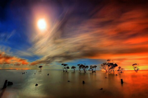 Coucher de soleil lumineux sur le lac et les arbres