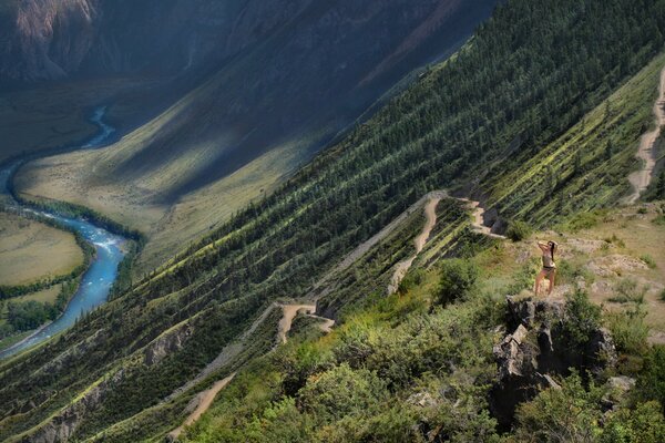 Serpentina di montagna al passo in Altai