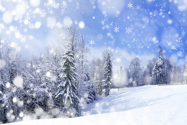 Paysage d arbres dans la neige en hiver