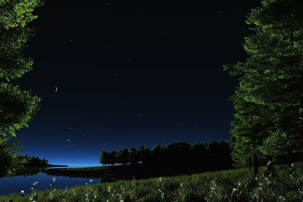 Cielo nocturno sobre el lago