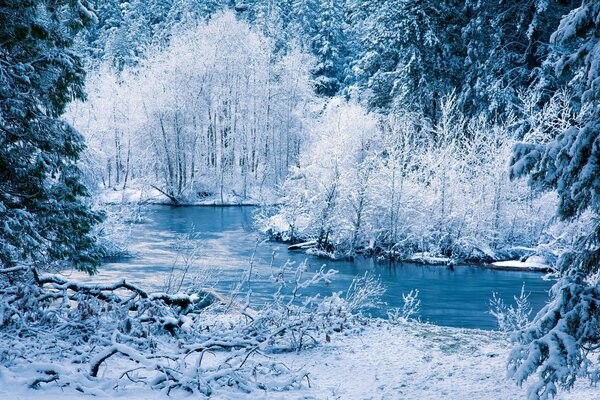 Paesaggio fiume neve inverno