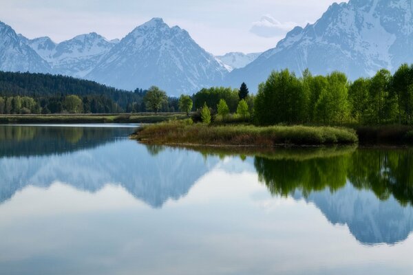 Parc National de Yellowstone, nature