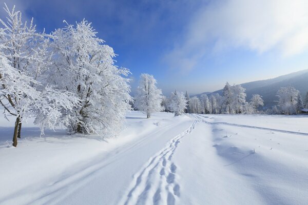 Spuren im Schnee im Winter mit Berglandschaft