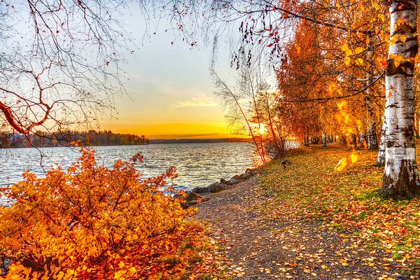 Lake in the golden light of autumn