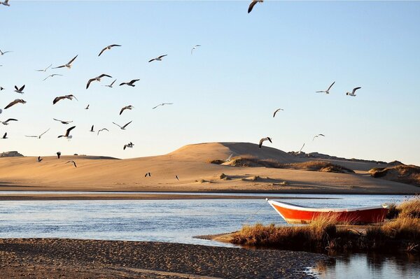 Boat on the bank of the river in sandy mesnost