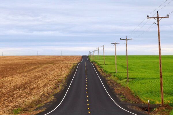 Route entre le champ jaune et le champ vert