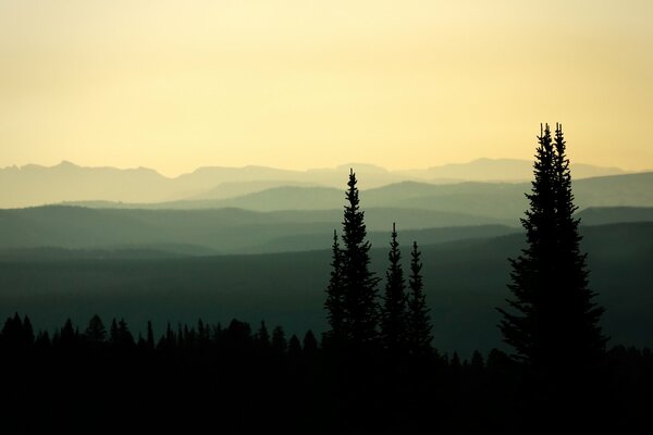 Wald und Berge in nebliger Dämmerung