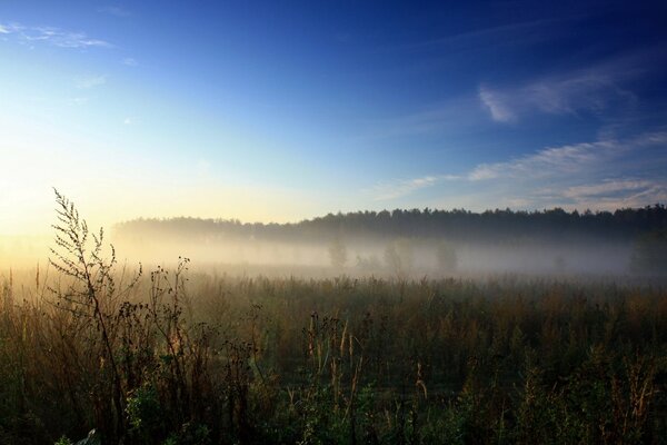 Красивый туман в поле лучи солнца