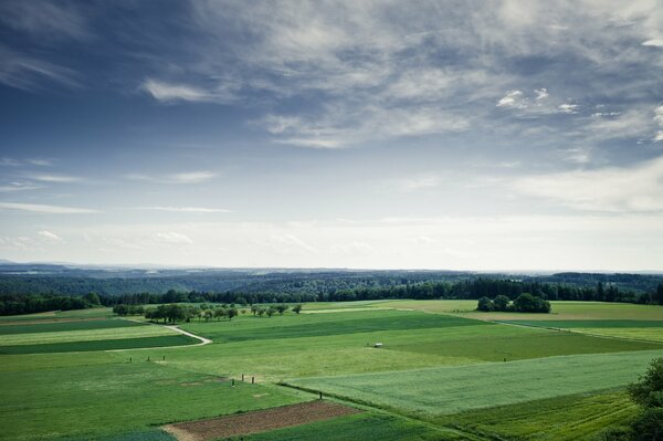 Grüne Sommerfelder unter Wolken