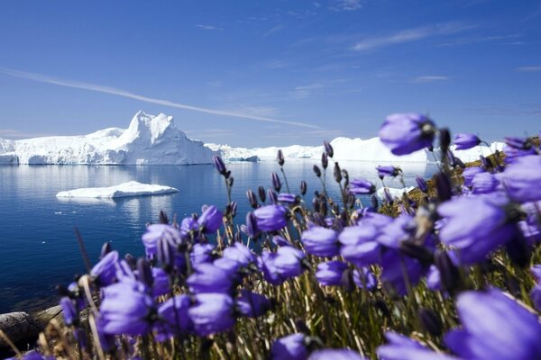 Bells among the glaciers of the Arctic