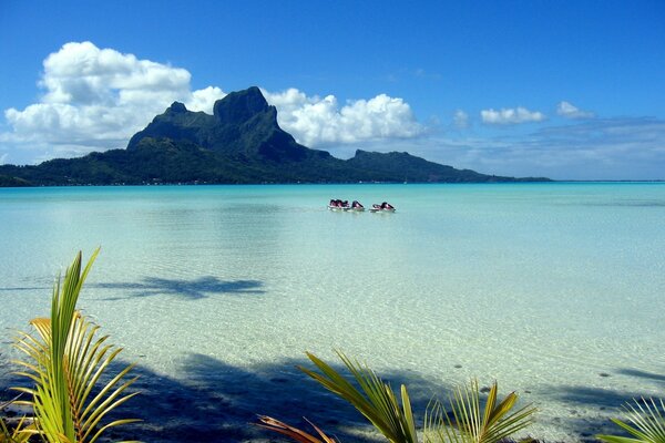 Berge Ozean Strand Landschaft Natur Tropen