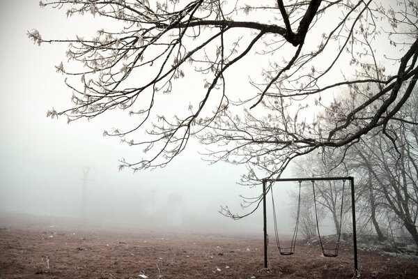 Einsame Schaukel unter einem Baum im Nebel