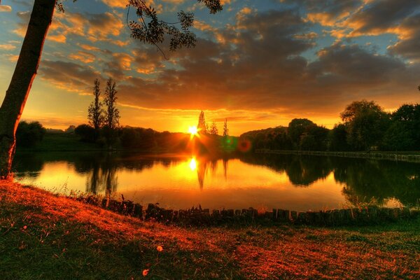 Lago con árboles en la puesta de sol de verano