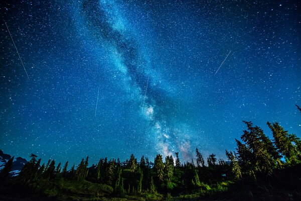 The Milky Way leading to the forest