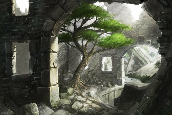 A tree in the sunlight among the ruins