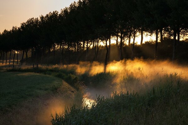 Brume montante au coucher du soleil