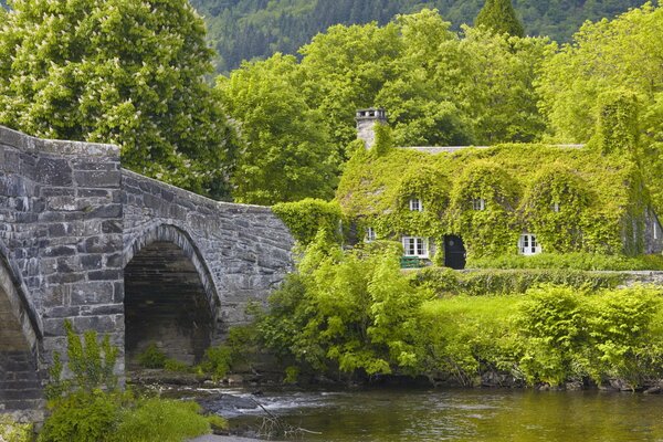 Casa verde en la orilla del río