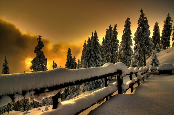 The snow-white splendor of winter snow