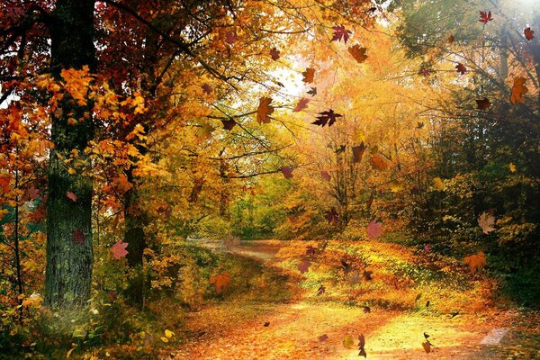 Осенний лес с золотыми деревьями