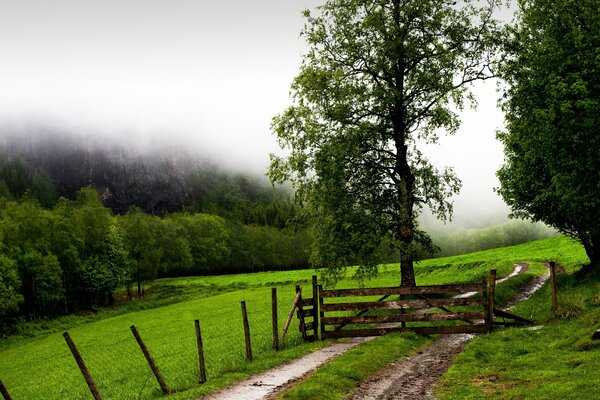 Ein Zaun und ein Tor stehen auf dem Feld