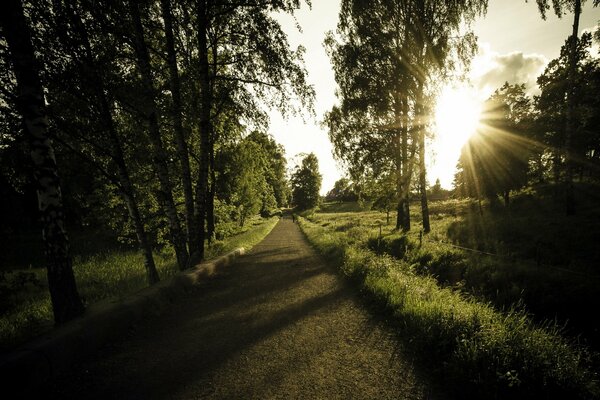 Landstraße in der untergehenden Sonne