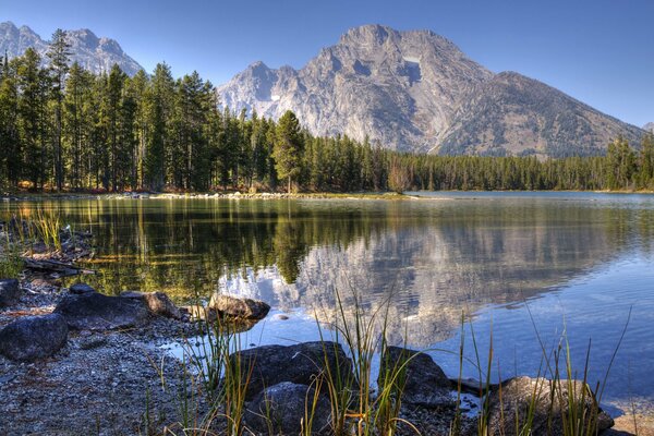 Mountains, forest and sky are reflected in the water