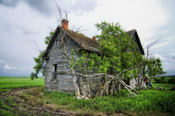 An old abandoned house on the background of a field