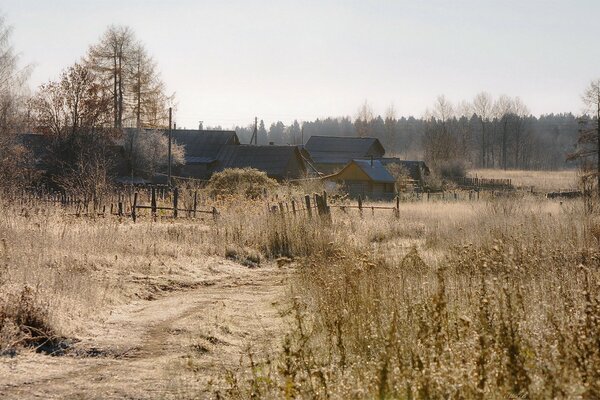 Осень в деревне с видом на дома и природу