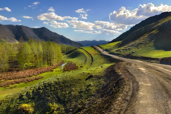 Mountain road in Altai in summer