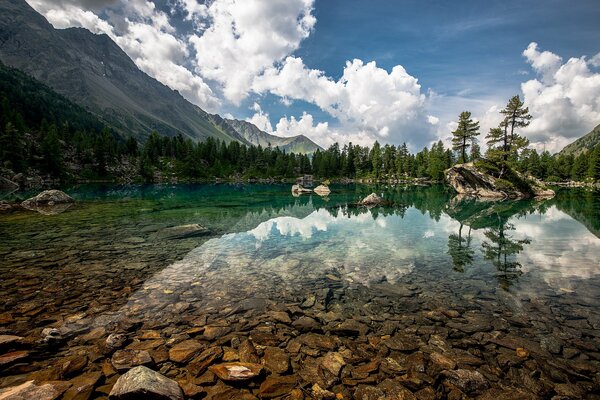 Paisaje naturaleza lago montañas bosque pinos abeto árboles