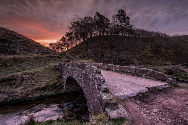 Beautiful nature at night. Bridge over a small river