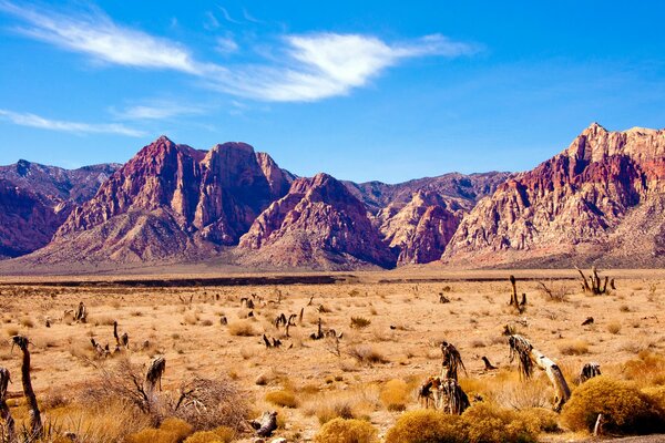 Skały na pustyni Nevada pod słońcem