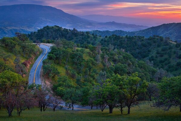 Mountain road among forests