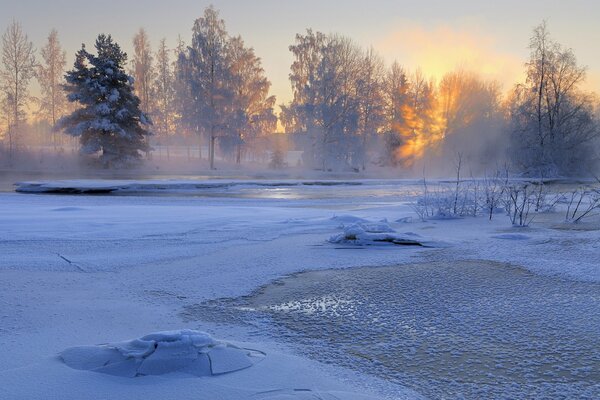 Winter Natur. Sonnenaufgang in Schweden