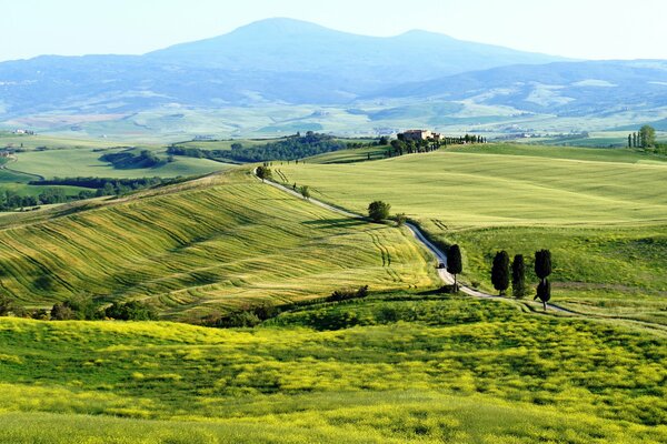 Wzgórza leżące w Toskanii. Włochy