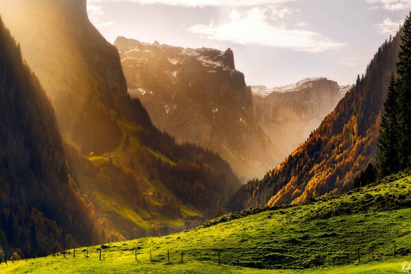 Vallée verte au pied des montagnes